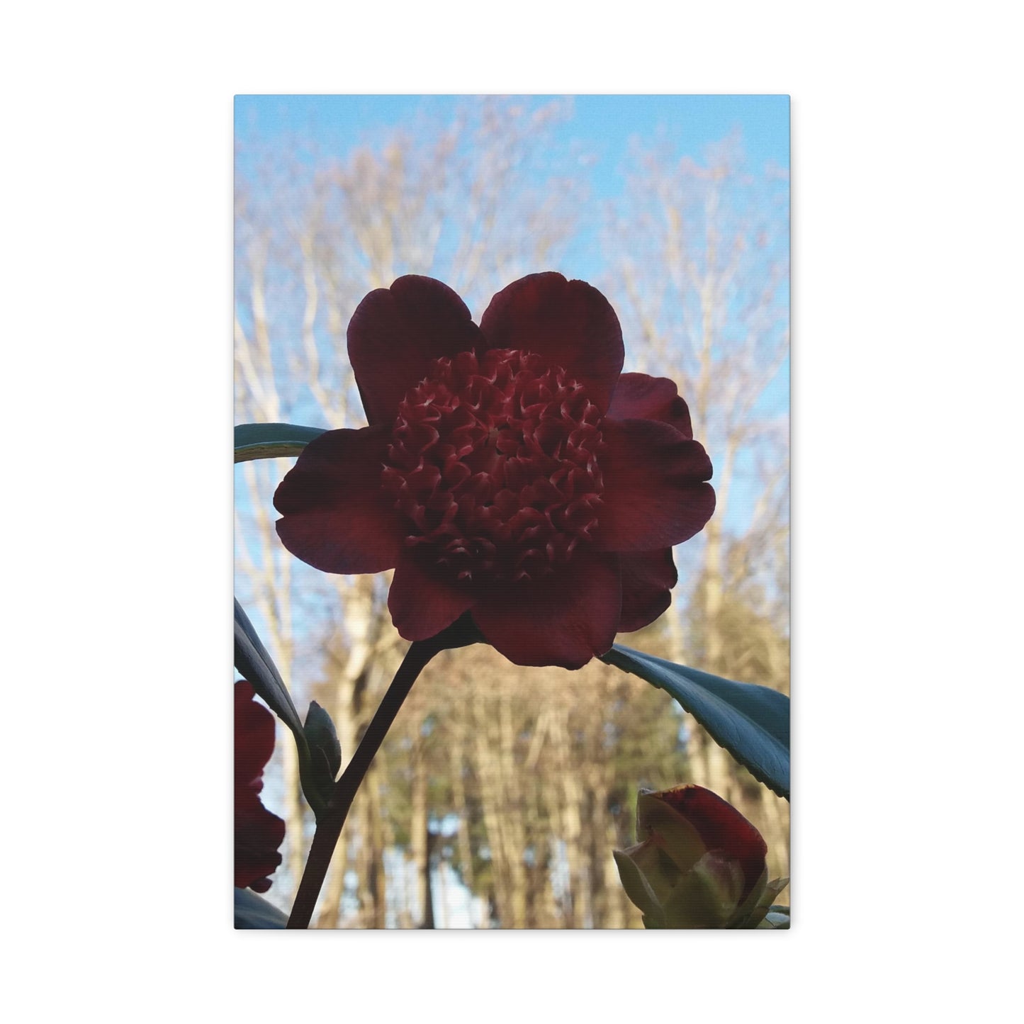 Rhododendron Vivid Photo on Canvas, Portrait Style.