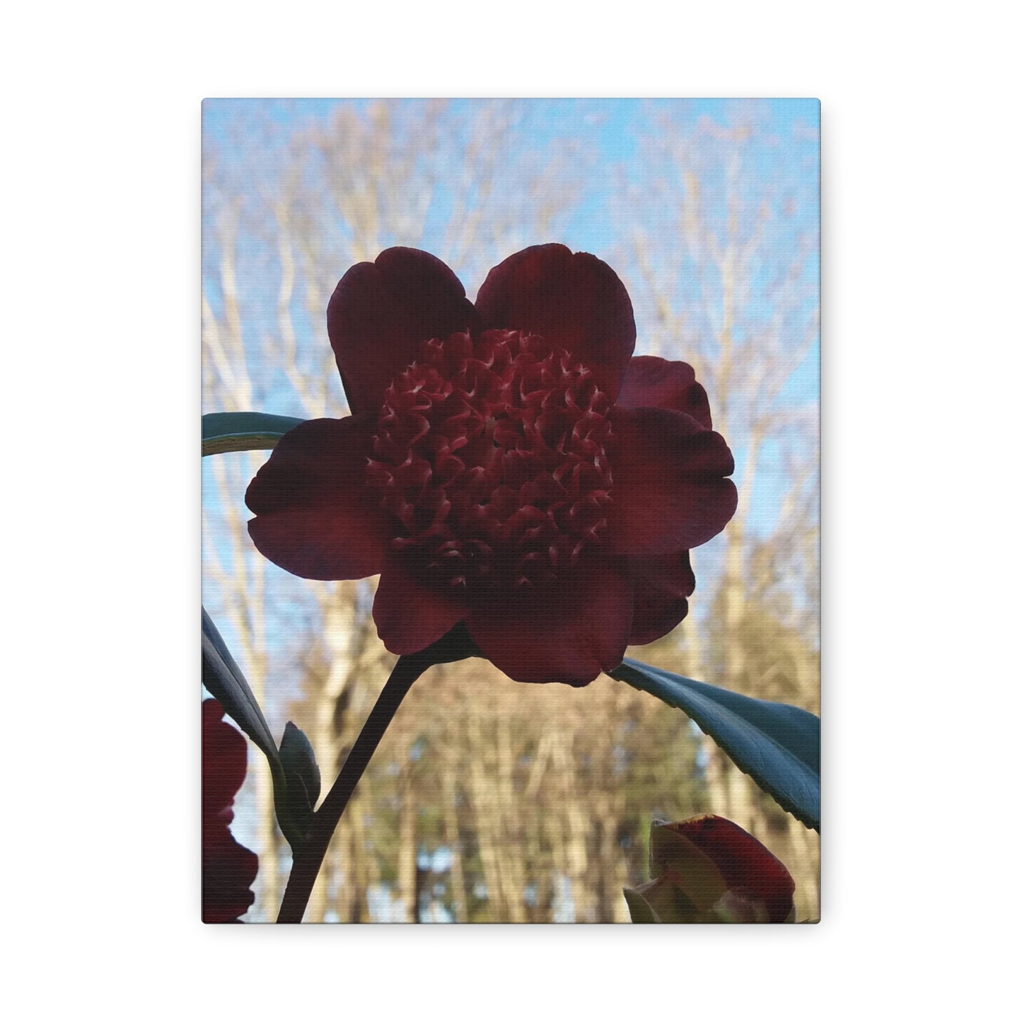 Rhododendron Vivid Photo on Canvas, Portrait Style.