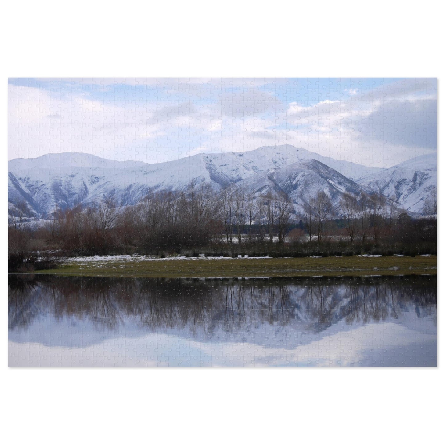 Jigsaw Puzzle: Lake Opuha Spring (110, 252, 500,1000-Piece)