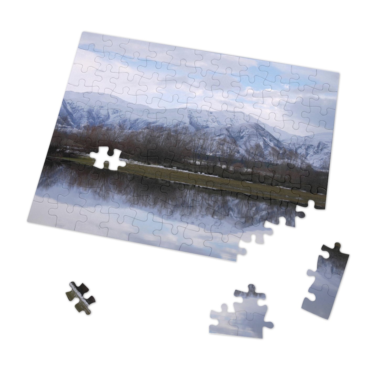 Jigsaw Puzzle: Lake Opuha Spring (110, 252, 500,1000-Piece)