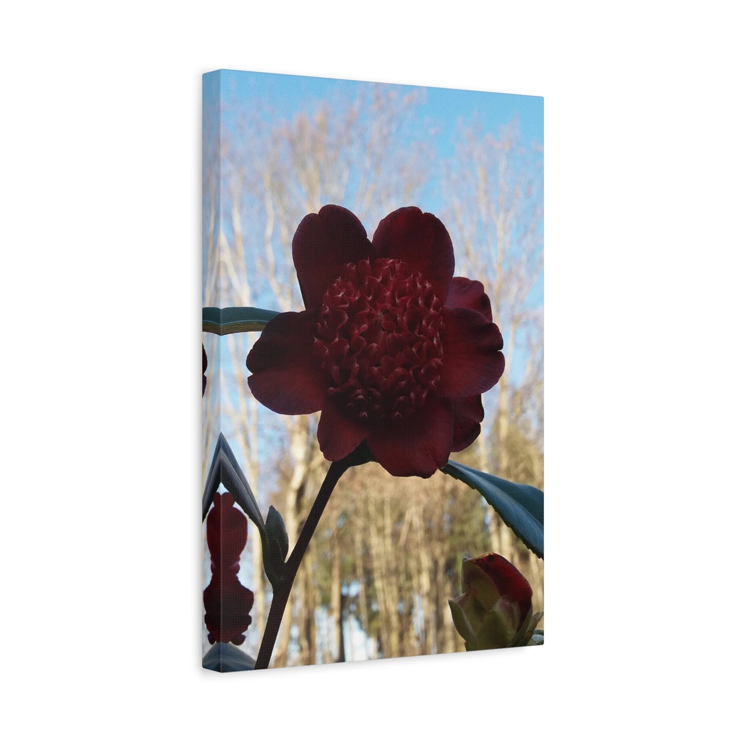 Rhododendron Vivid Photo on Canvas, Portrait Style.
