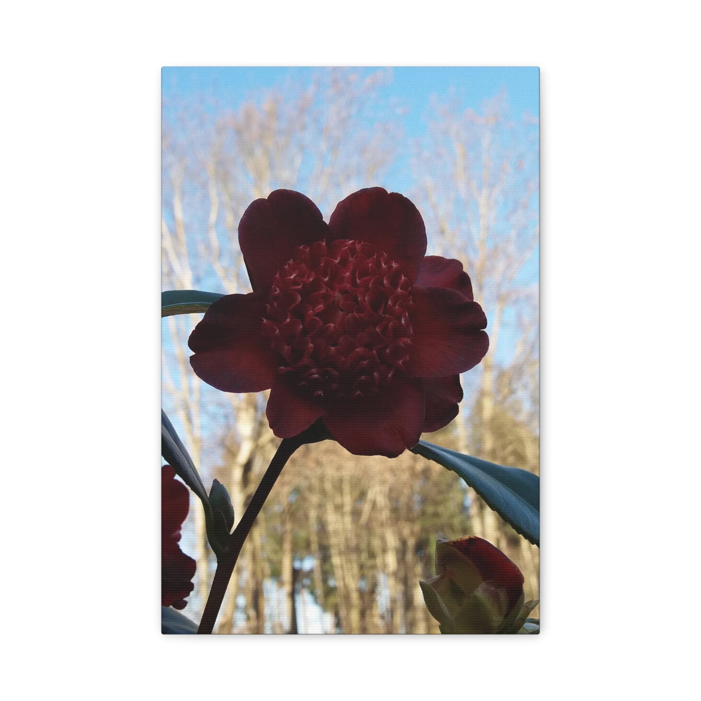 Rhododendron Vivid Photo on Canvas, Portrait Style.
