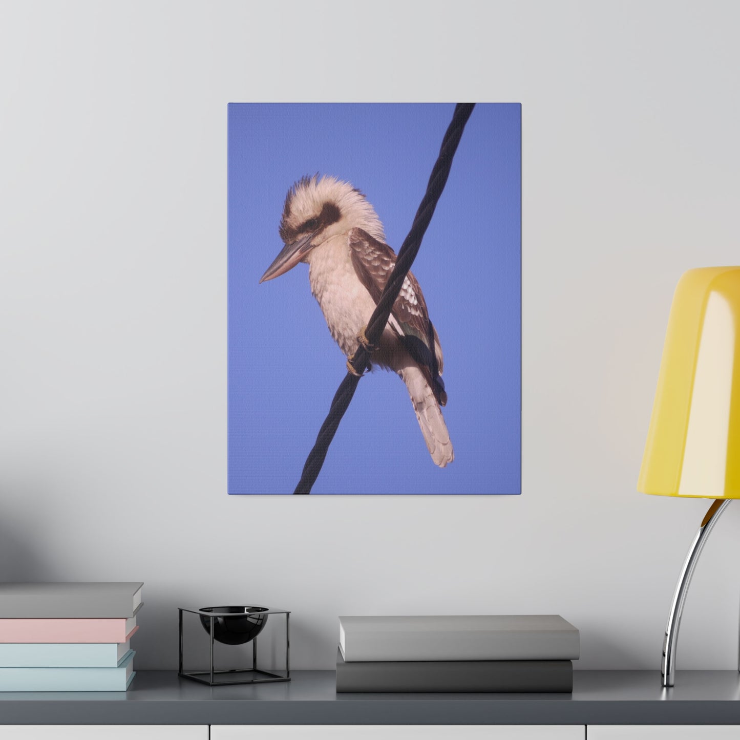 kookaburra Portrait Photo on Canvas.