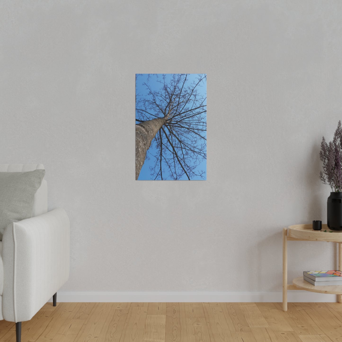 Poplar Tree Photo on Canvas