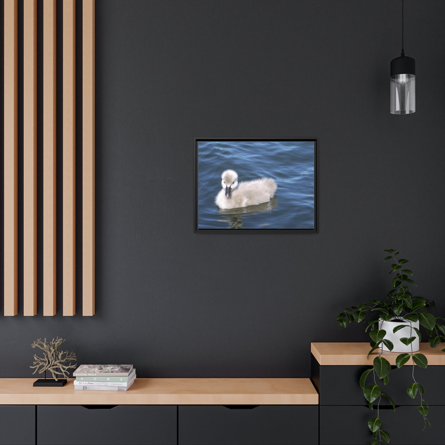 No Ugly Duckling: Photo on Framed Canvas Print.