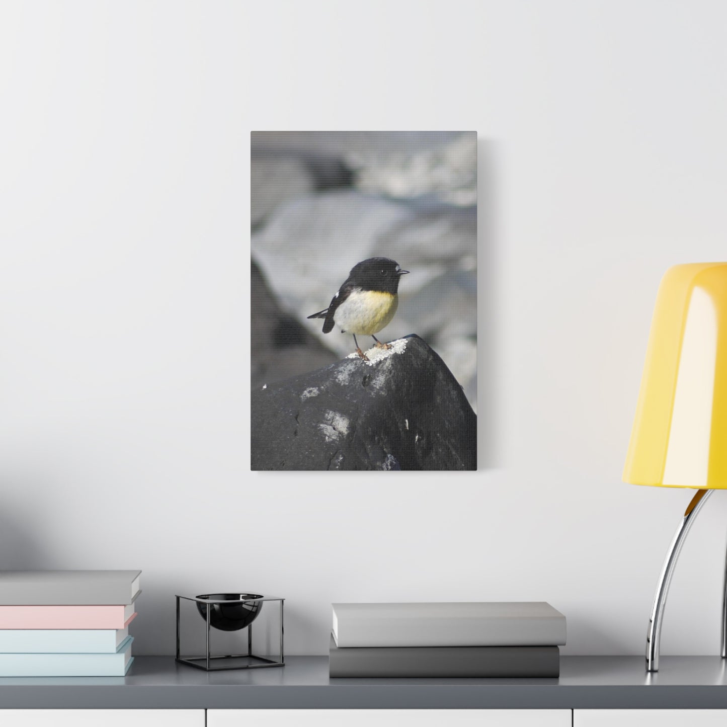 Portrait of Tomtit; Photo on Canvas