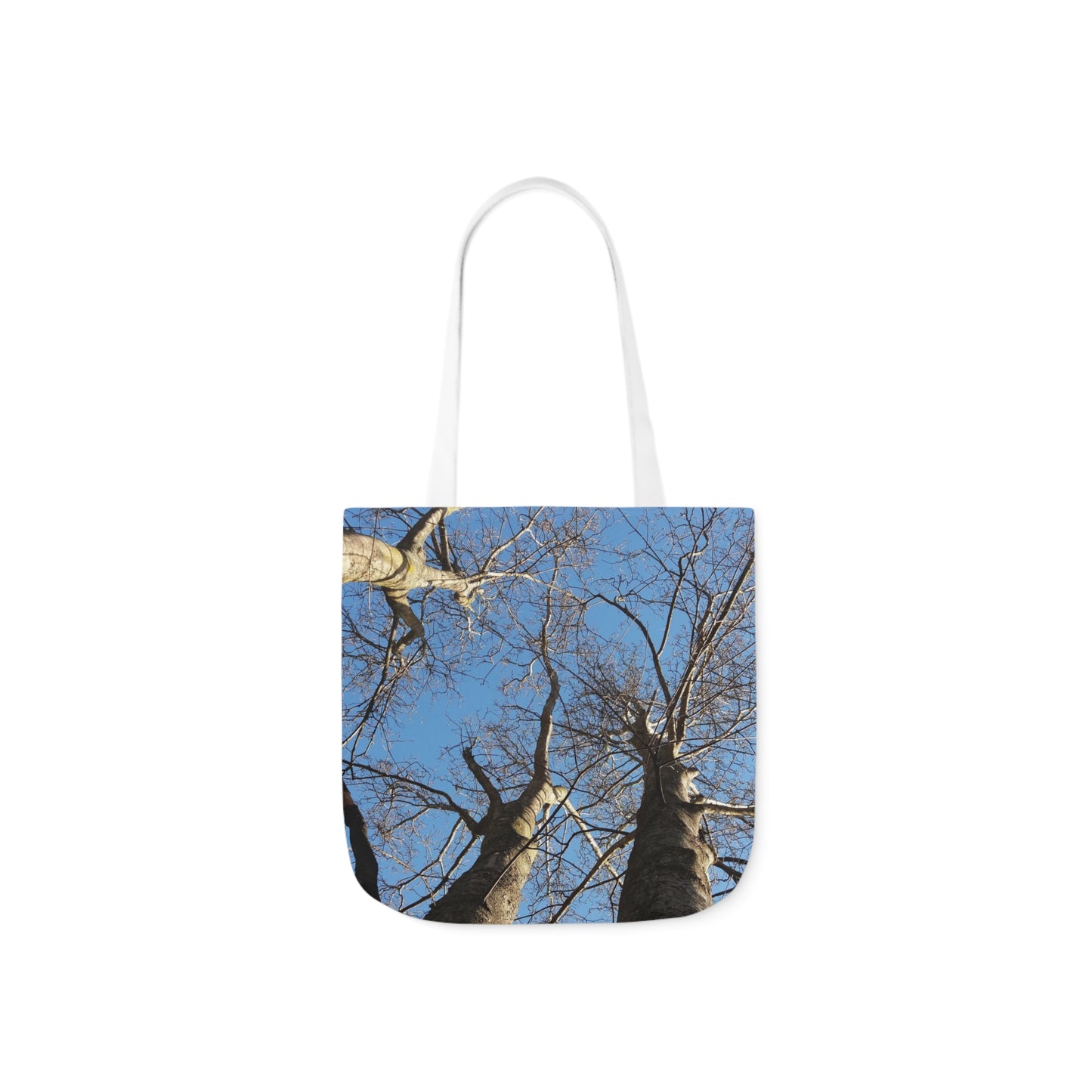 Poplar Tree Natural Canvas Tote Bag