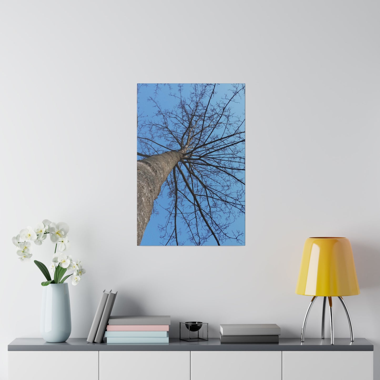 Poplar Tree Photo on Canvas