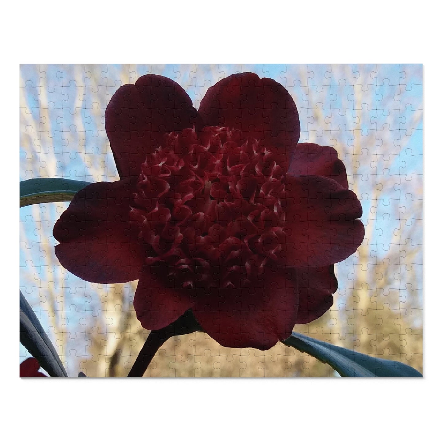 Jigsaw Puzzle: Rhododendron (110, 252, 500,1000-Piece)