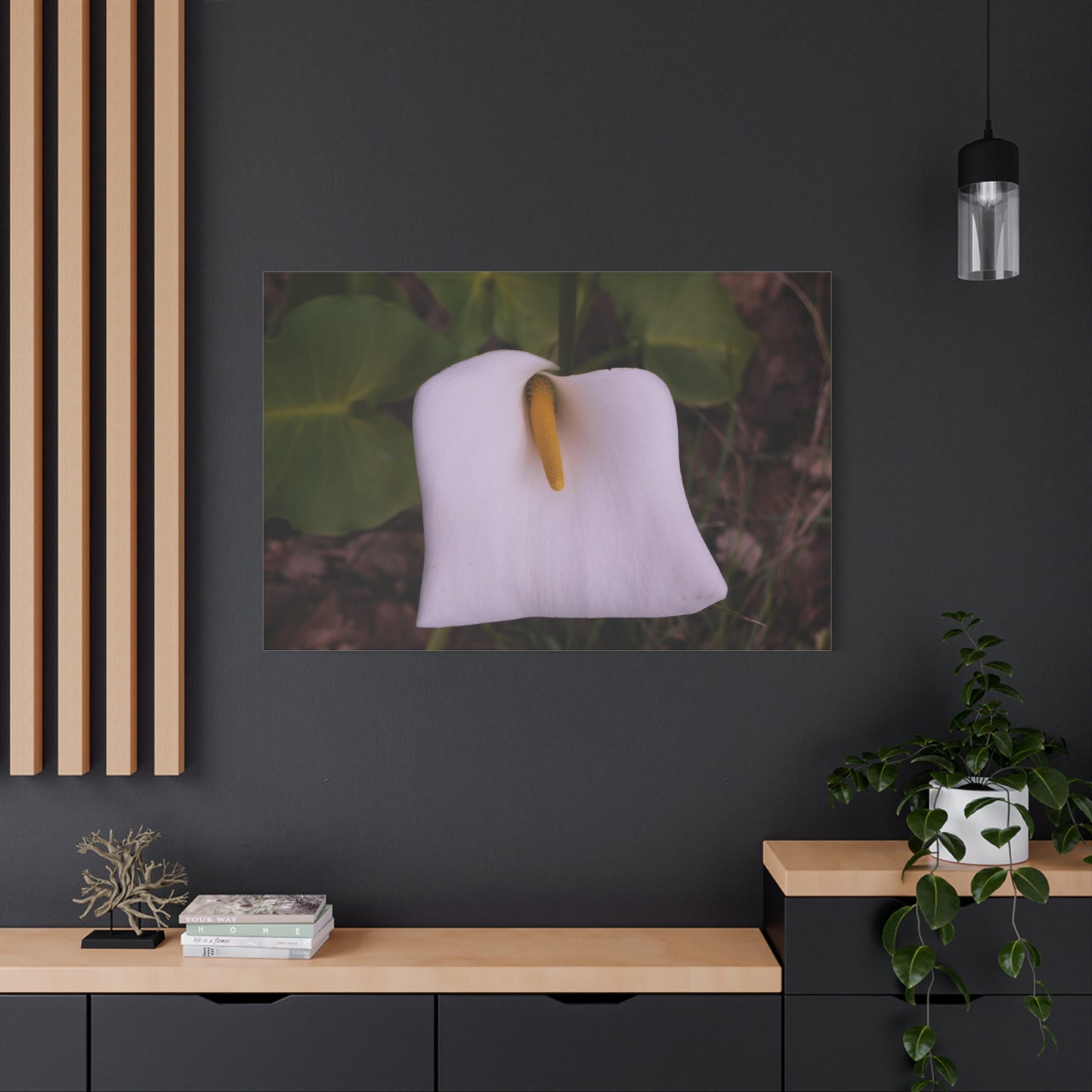 Arum Lily Photo on Canvas