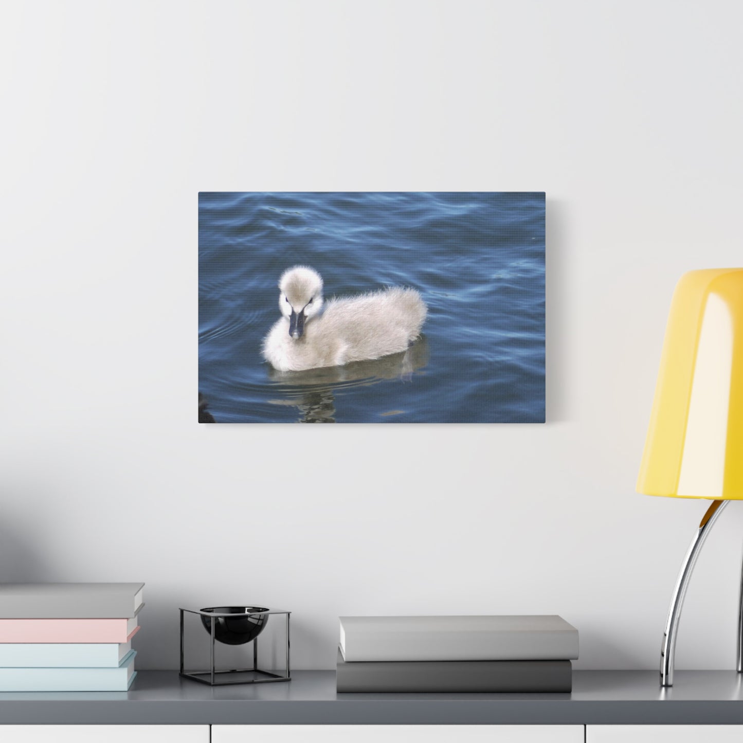 No Ugly Duckling: Baby Swan Canvas Print.