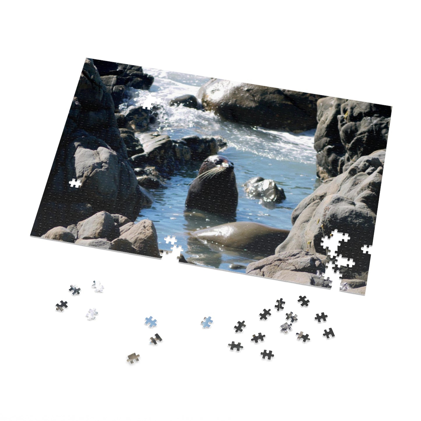 Jigsaw Puzzle: Cute Baby Seals in pool (30, 110, 252, 500,1000-Piece)