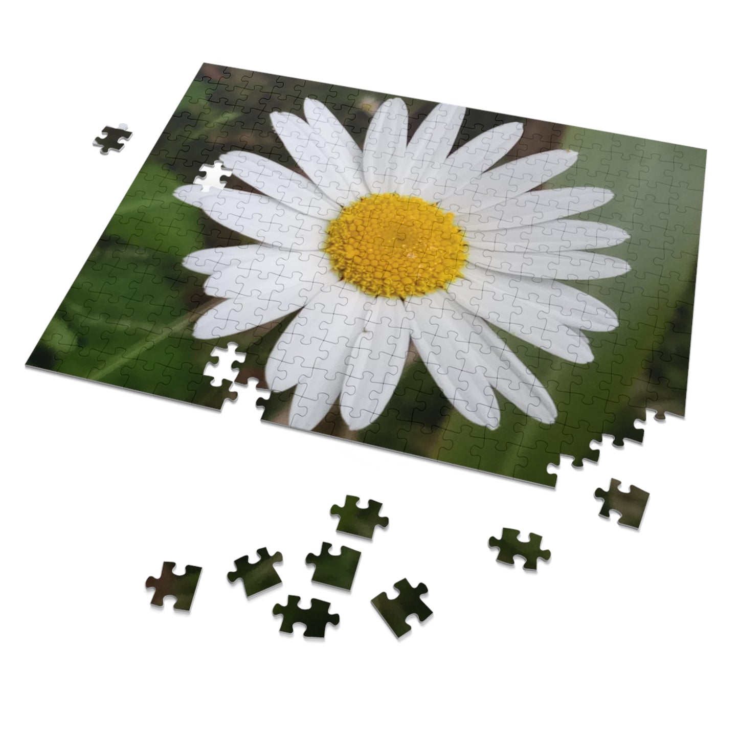 Jigsaw Puzzle: Daisy (30, 110, 252, 500, 1000-Piece)