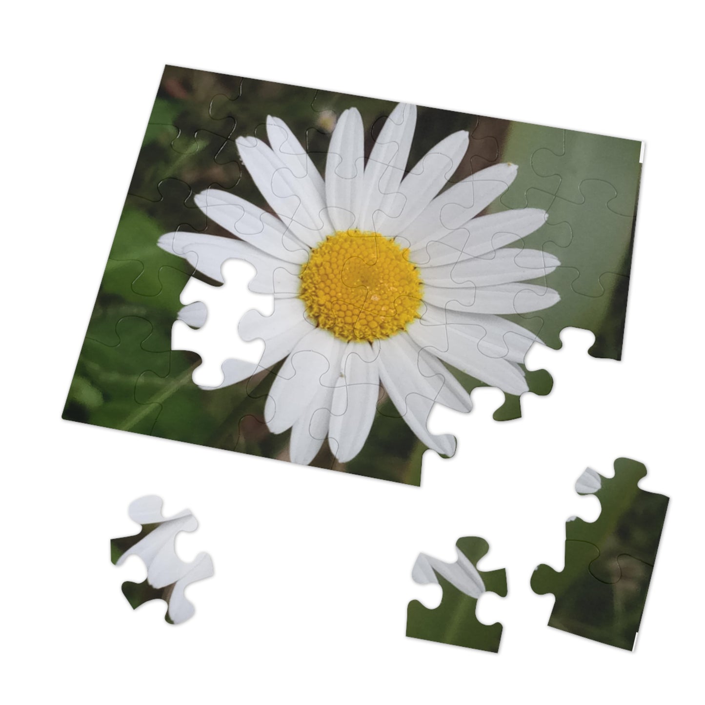 Jigsaw Puzzle: Daisy (30, 110, 252, 500, 1000-Piece)