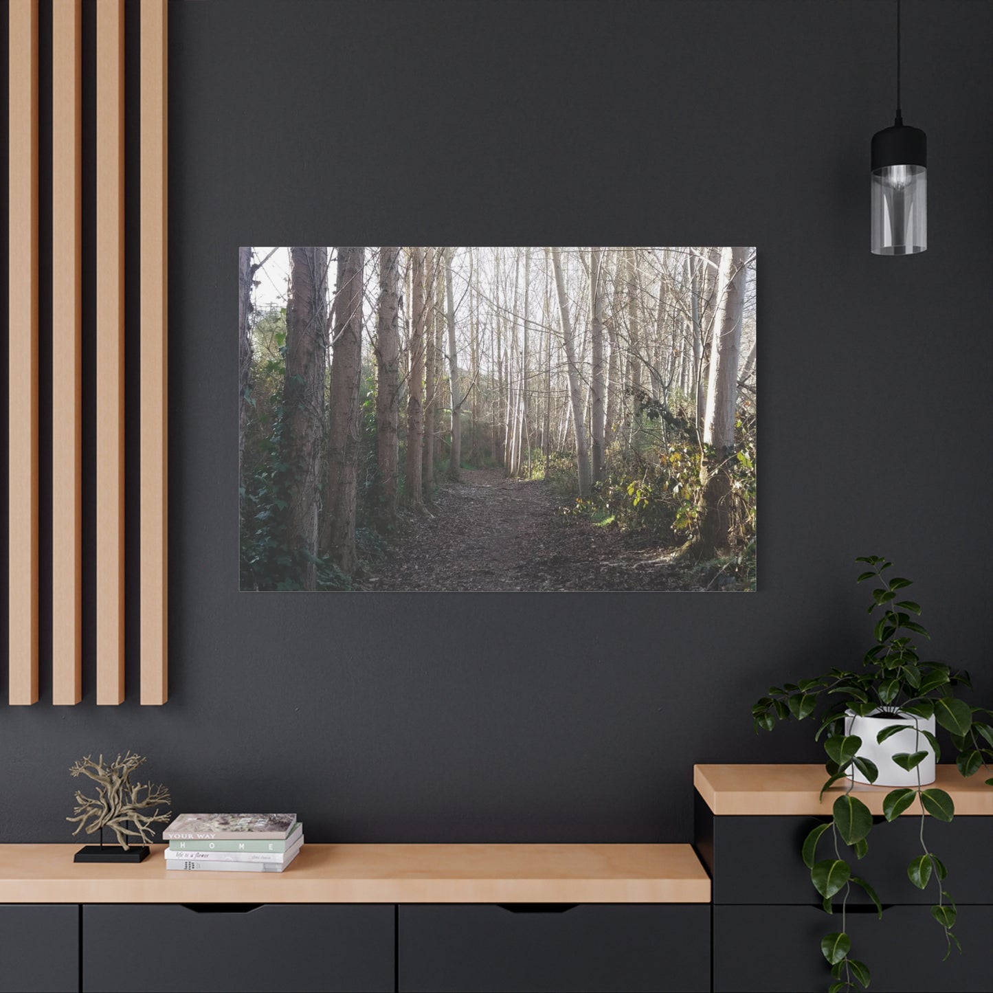 Waihi River Wilderness Walk Photo on Canvas (5 Sizes)