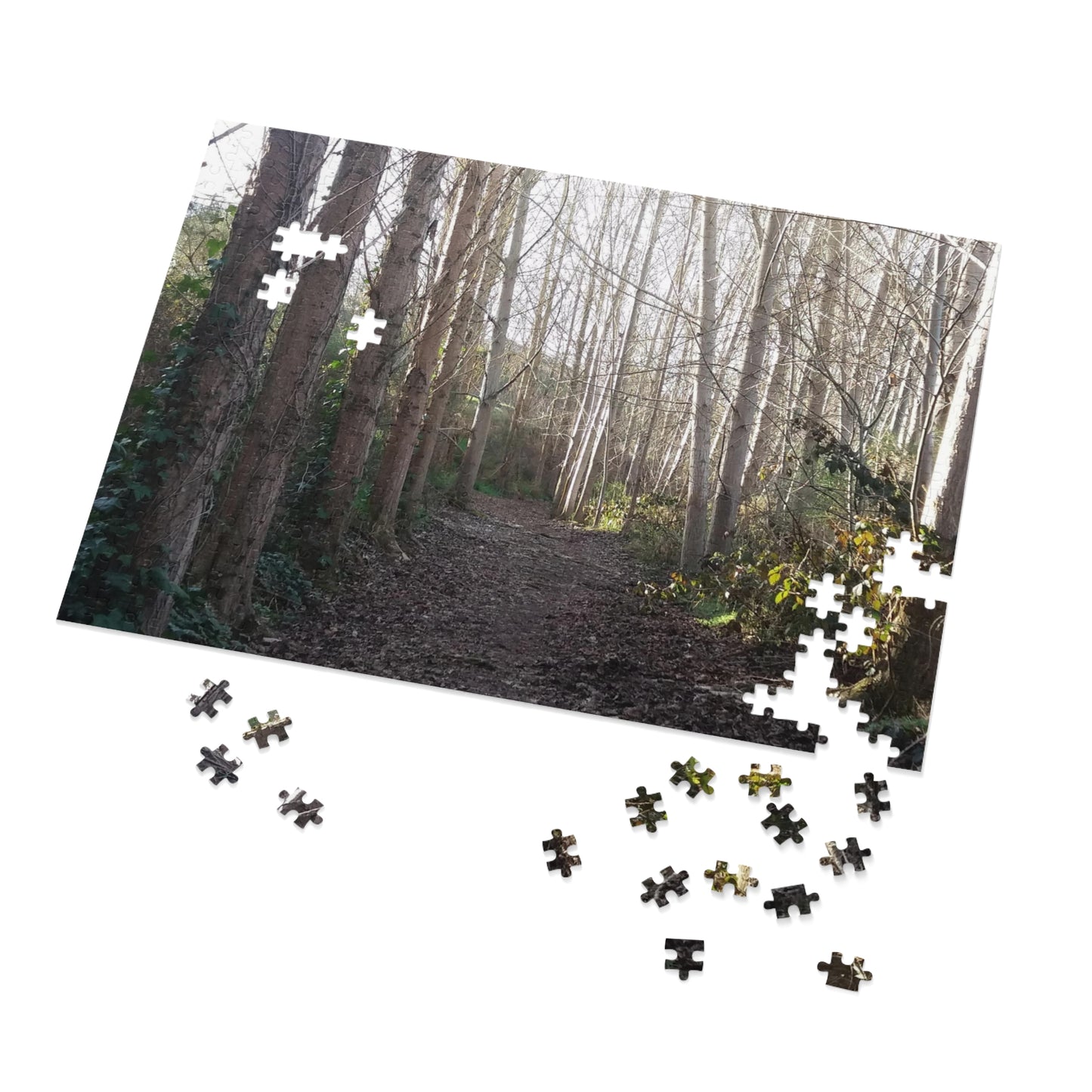 Waihi Wilderness Walk Jigsaw Puzzle (252, 500,1000-Piece)