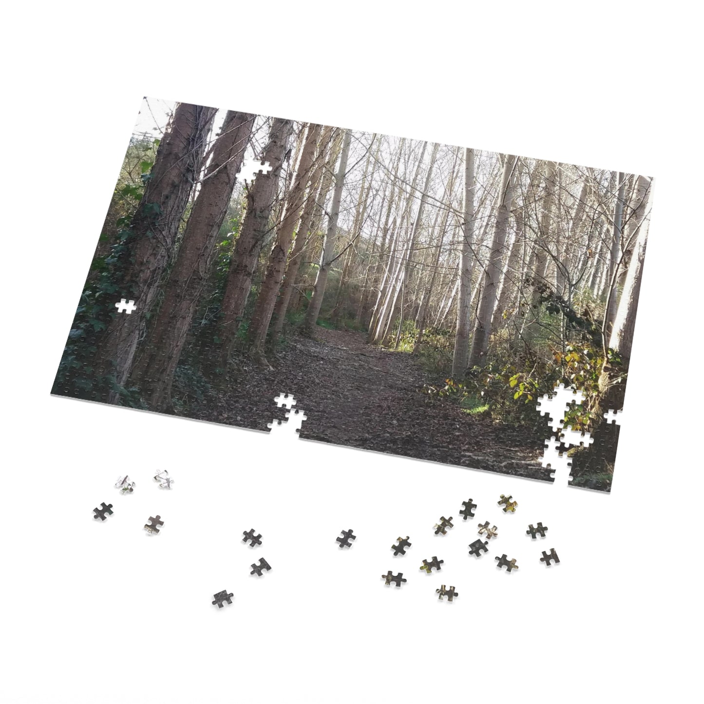 Waihi Wilderness Walk Jigsaw Puzzle (252, 500,1000-Piece)