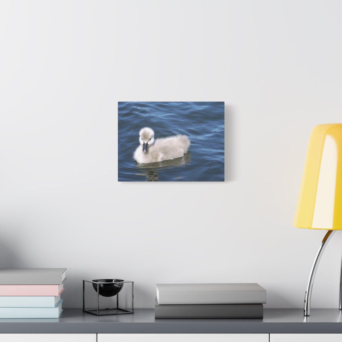 No Ugly Duckling: Baby Swan Canvas Print.