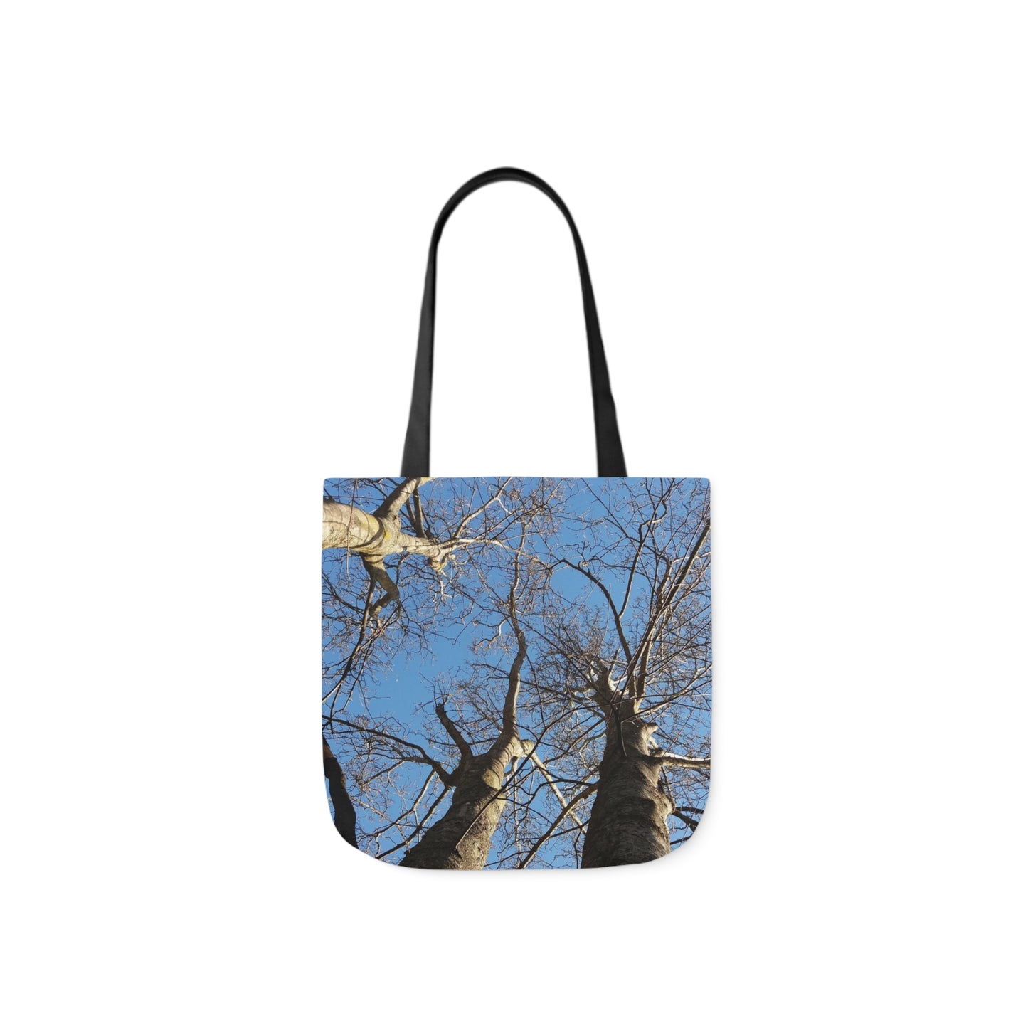 Poplar Tree Natural Canvas Tote Bag