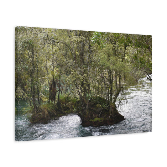 Tarawera River Photo on Canvas.