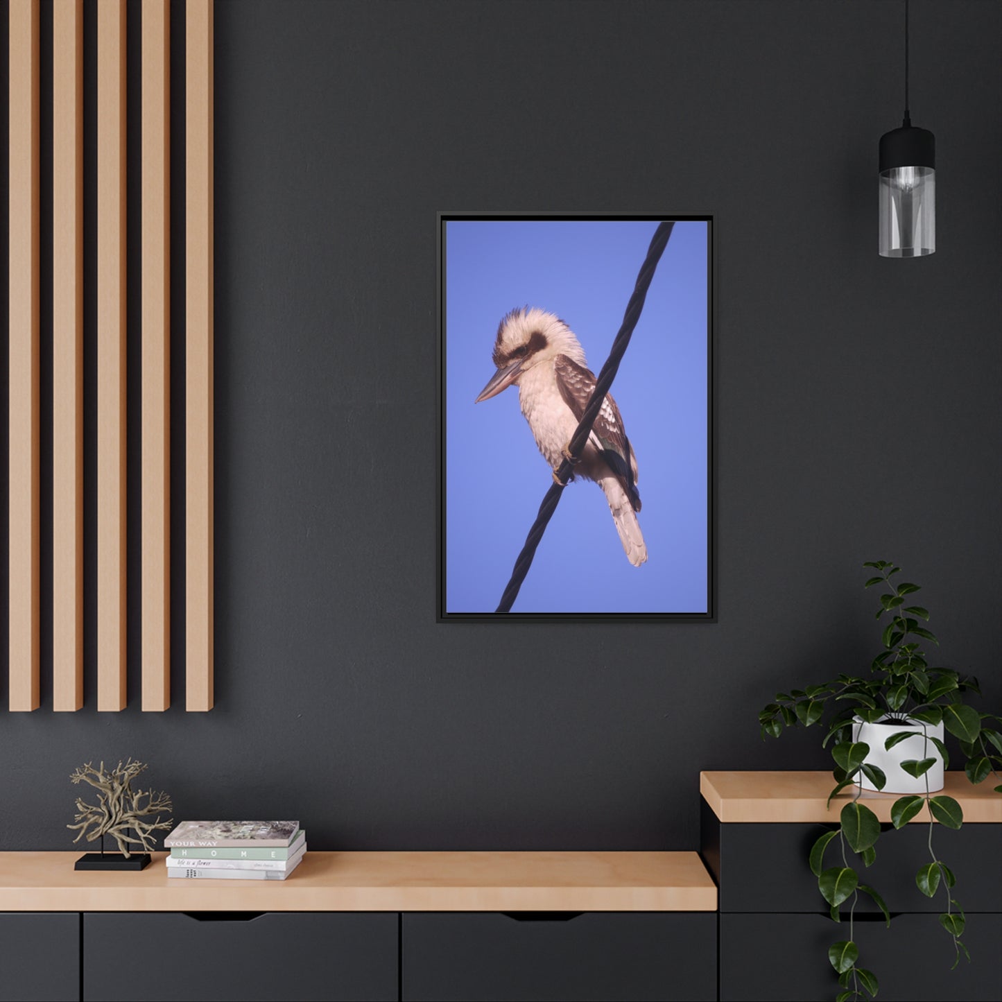 Kookaburra Portrait Photo on Canvas, Black Frame