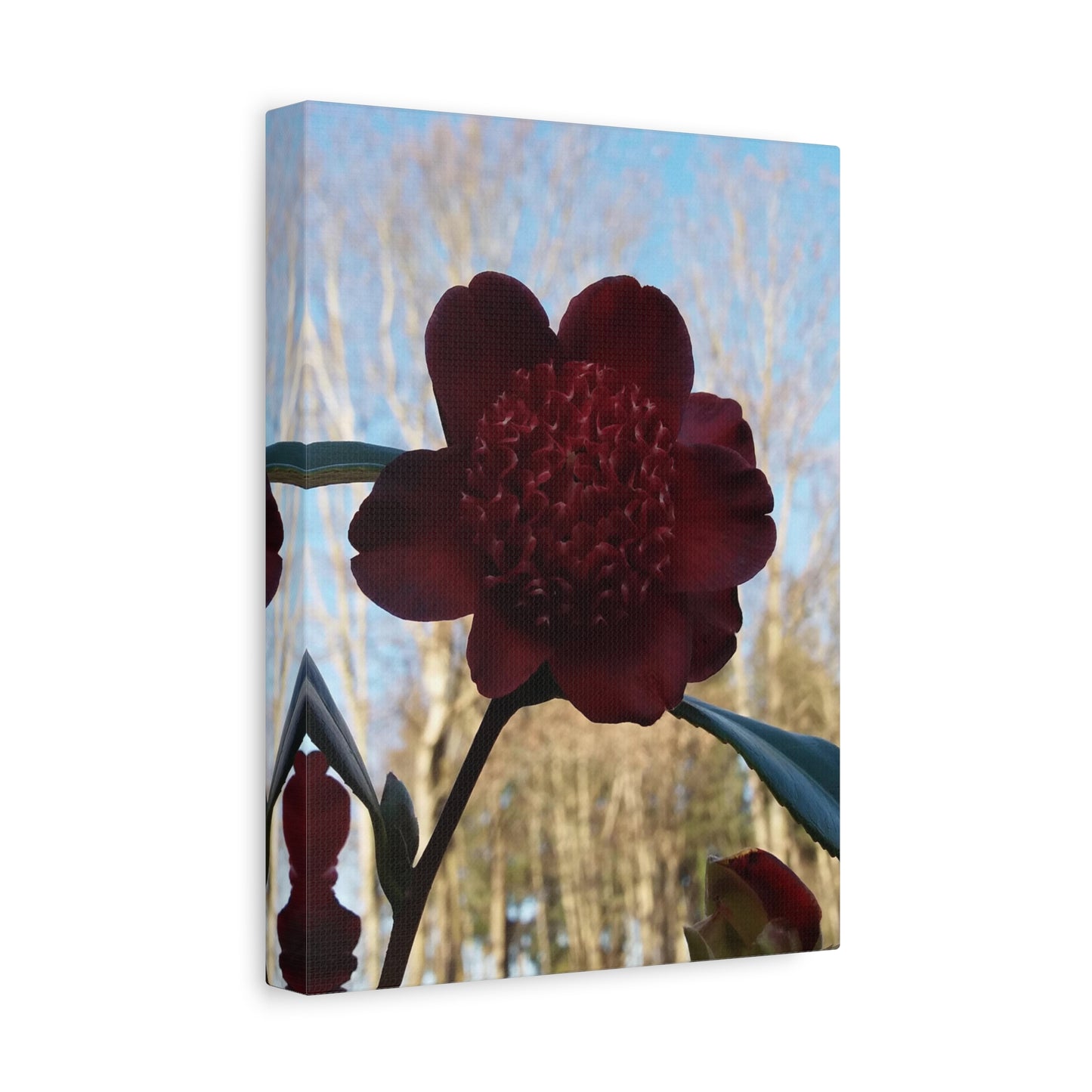 Rhododendron Vivid  Photo on Canvas, Portrait Style.