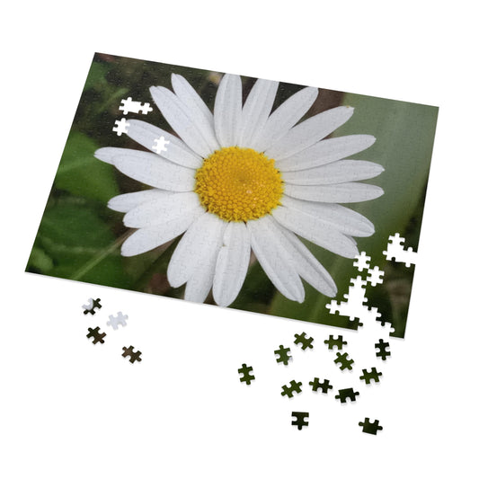 Jigsaw Puzzle: Daisy (30, 110, 252, 500, 1000-Piece)