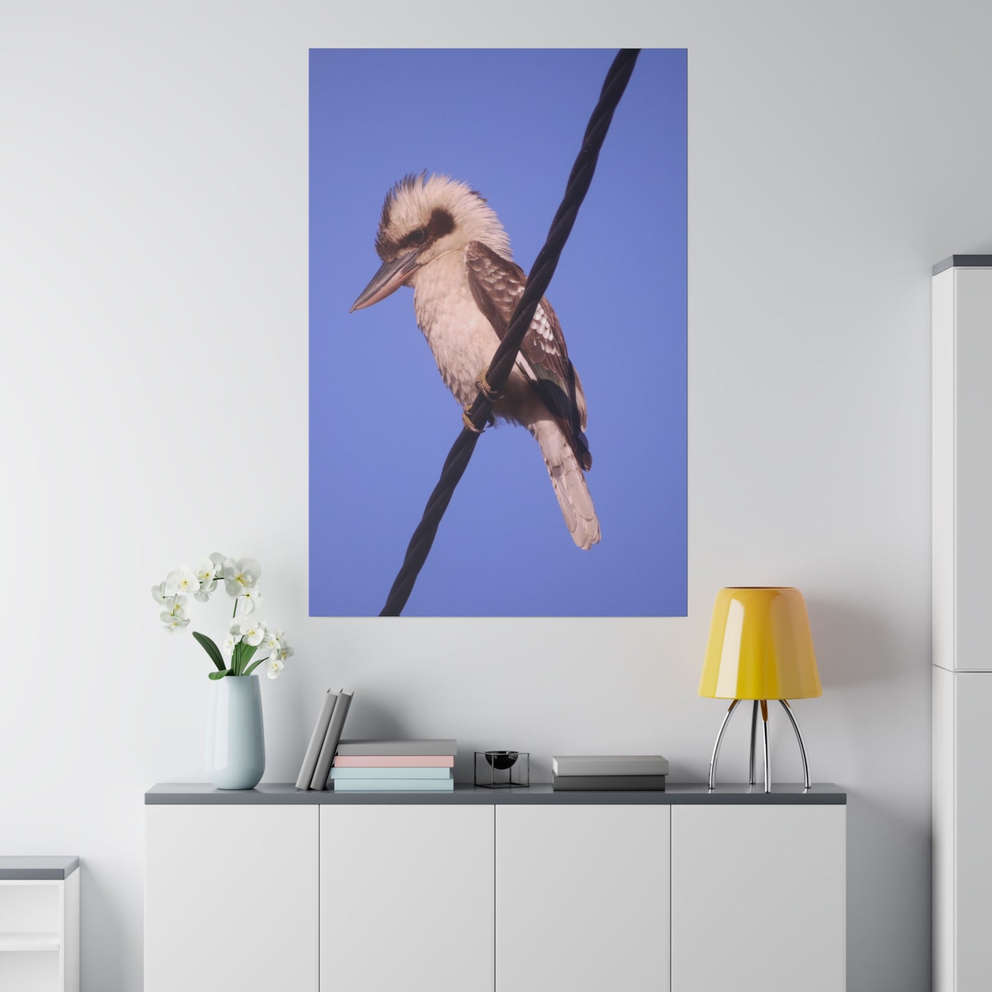 kookaburra Portrait Photo on Canvas.