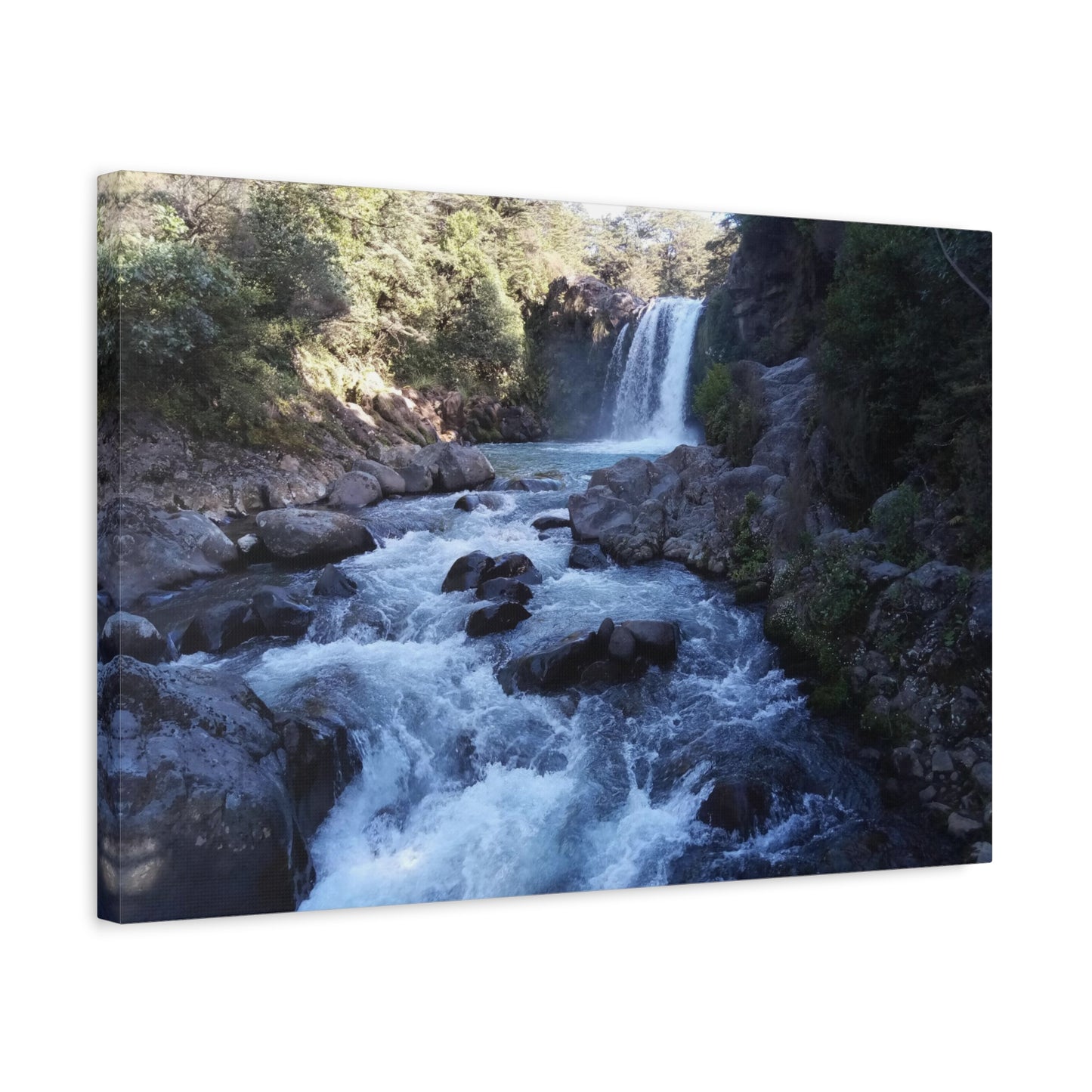 Tawhai Falls Gollums Pool Photo on Canvas.