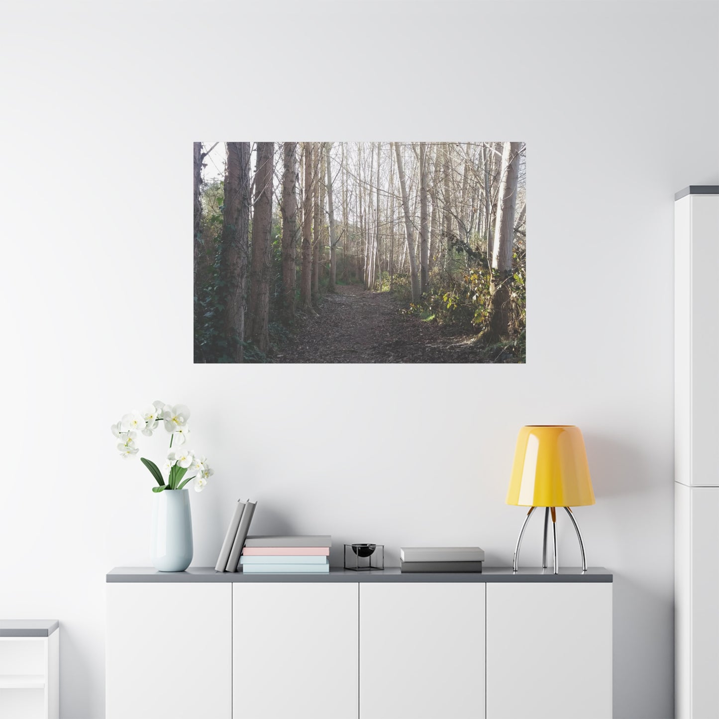 Waihi River Wilderness Walk Photo on Canvas (5 Sizes)