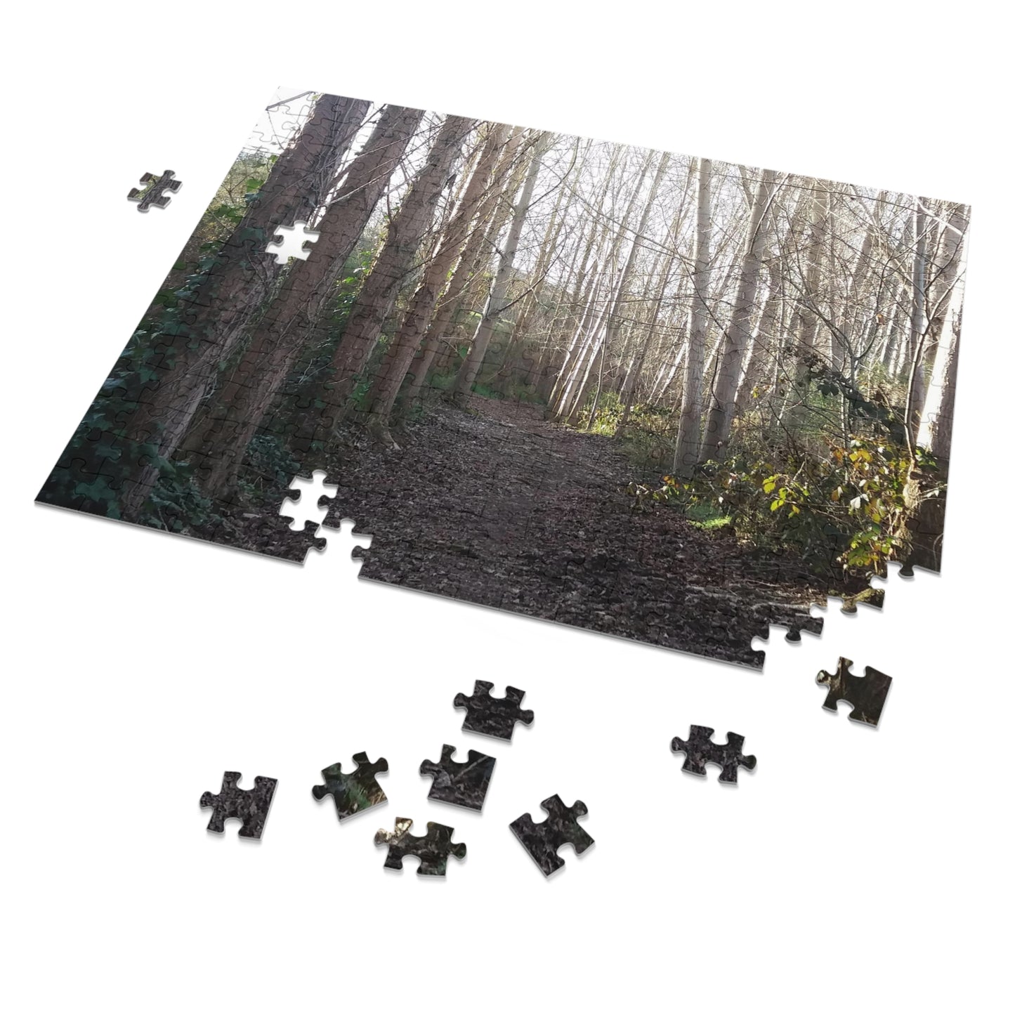 Waihi Wilderness Walk Jigsaw Puzzle (252, 500,1000-Piece)