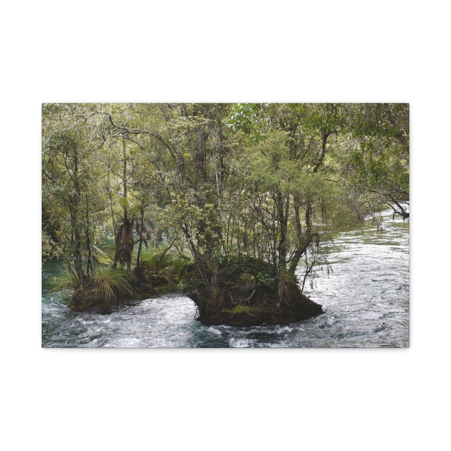 Tarawera River Photo on Canvas.