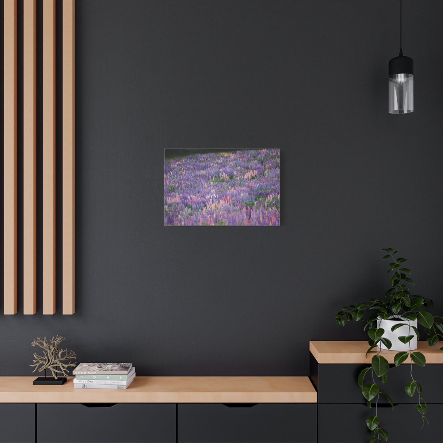 Tekapo Wild Lupins Photo on Canvas.