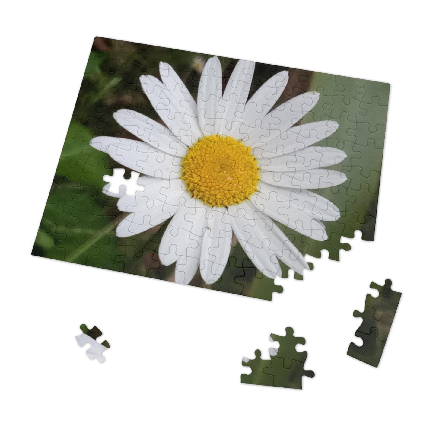 Jigsaw Puzzle: Daisy (30, 110, 252, 500, 1000-Piece)