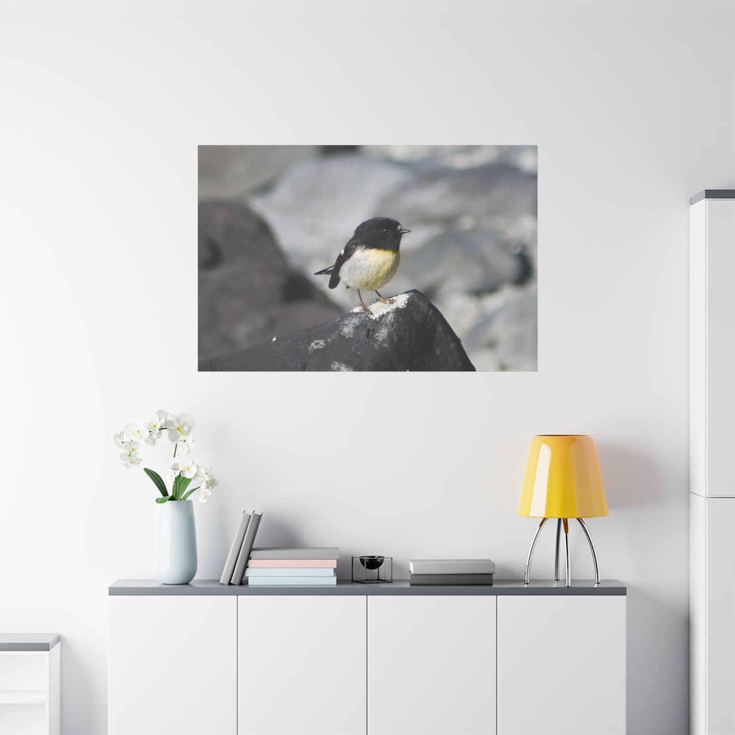 Campsite Visitor; Tomtit Photo on Canvas