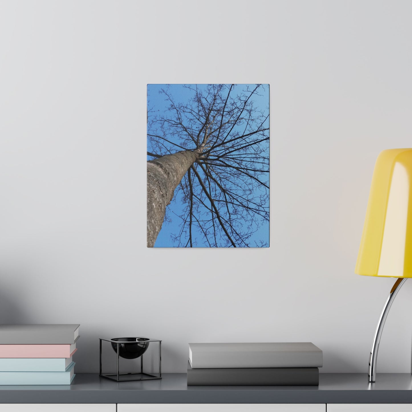 Poplar Tree Photo on Canvas