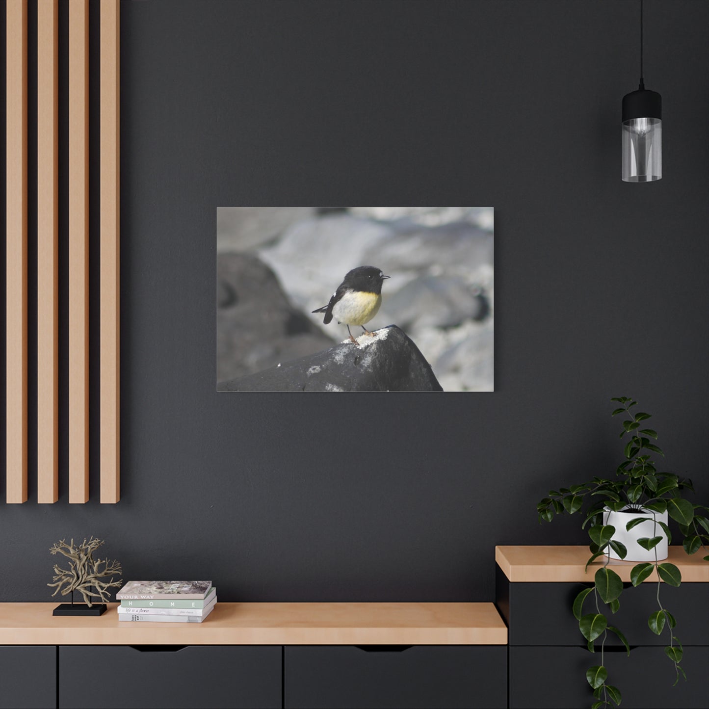 Campsite Visitor; Tomtit Photo on Canvas