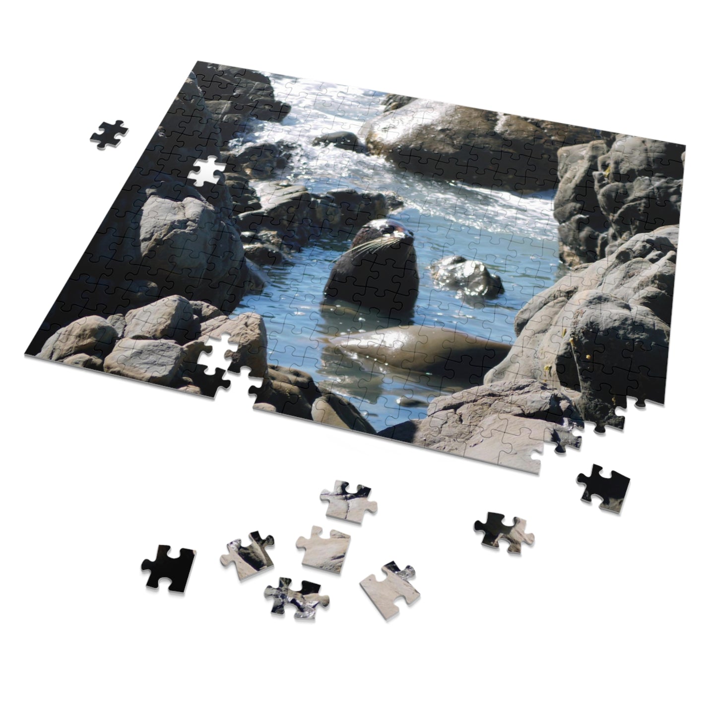 Jigsaw Puzzle: Cute Baby Seals in pool (30, 110, 252, 500,1000-Piece)