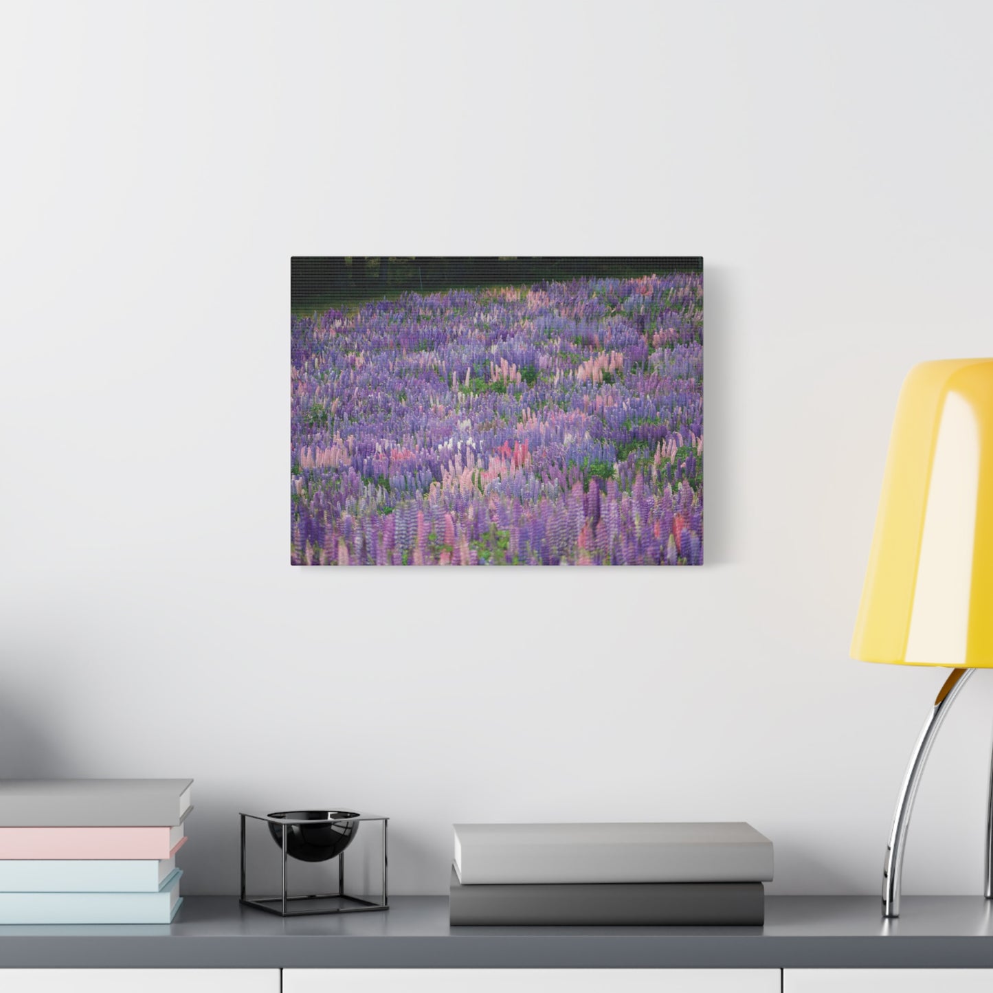 Tekapo Wild Lupins Photo on Canvas.