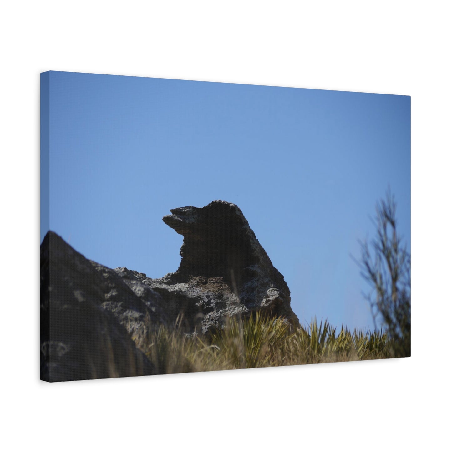 Magpie Rock Photo as Landscape Canvas Print