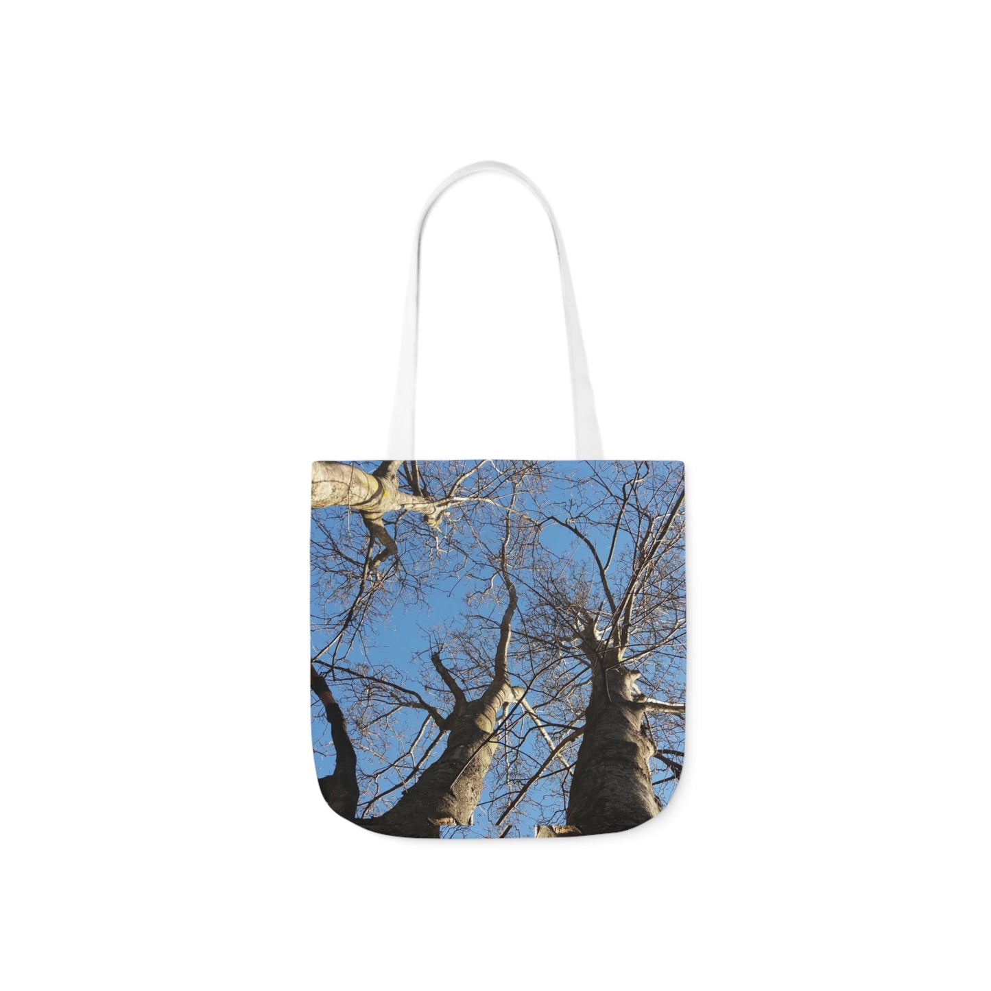 Poplar Tree Natural Canvas Tote Bag