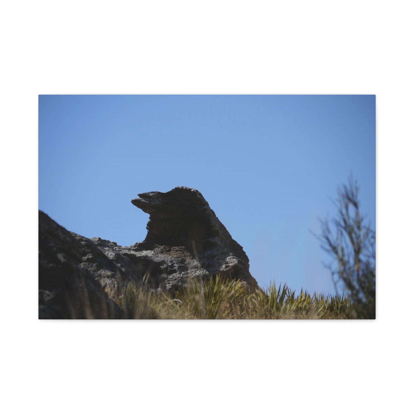 Magpie Rock Photo as Landscape Canvas Print