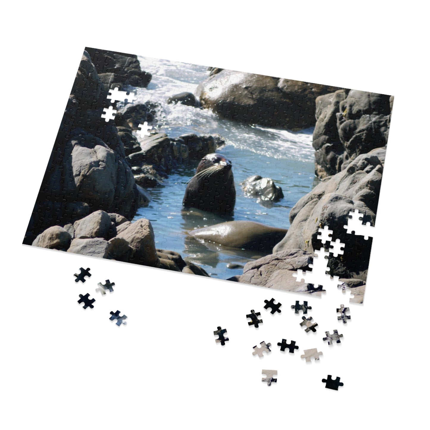 Jigsaw Puzzle: Cute Baby Seals in pool (30, 110, 252, 500,1000-Piece)