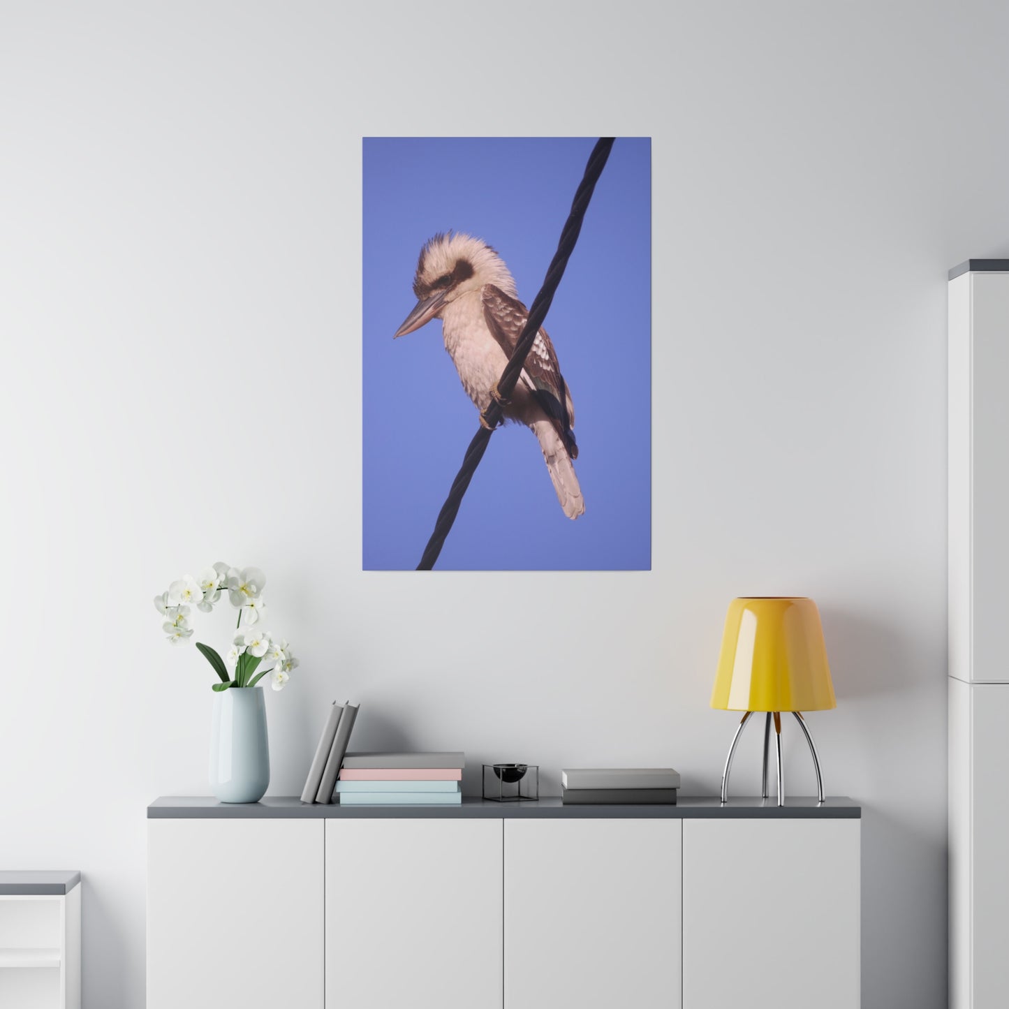 kookaburra Portrait Photo on Canvas.