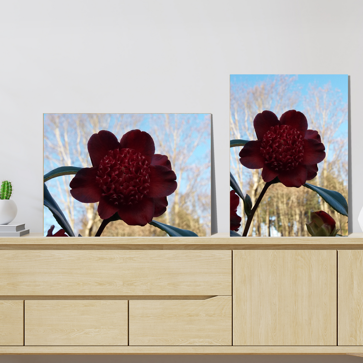 Rhododendron Photo on Canvas, Landscape Style.