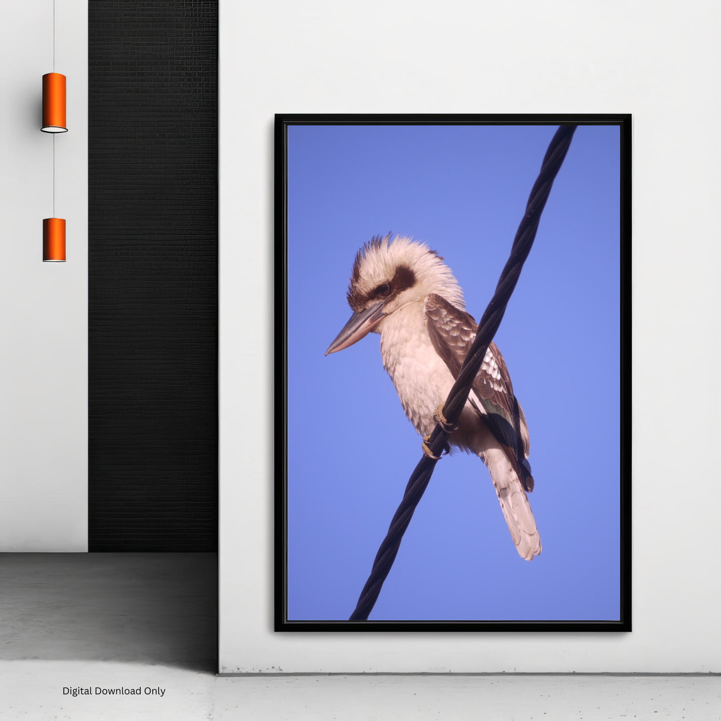 Kookaburra Portrait Photo on Poster