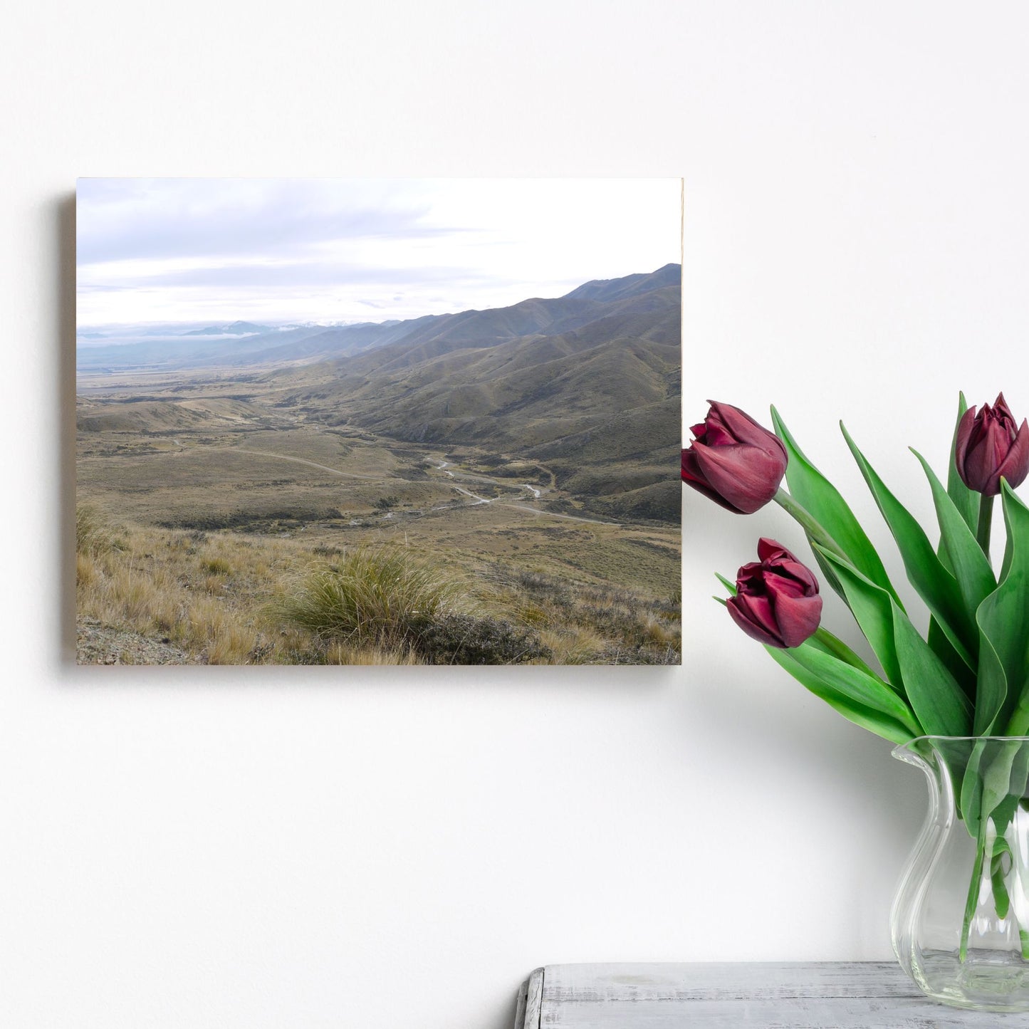 View from Mount Pizgah Photo on Canvas,