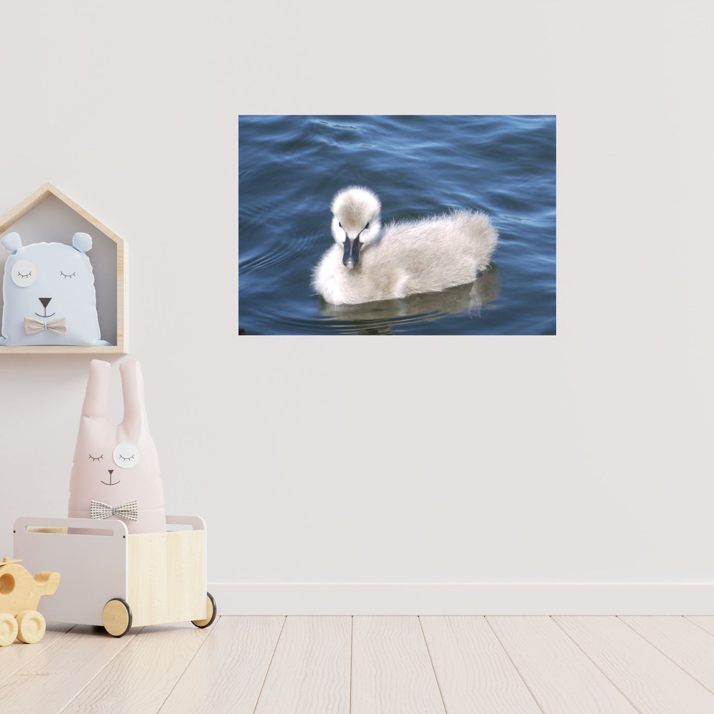 No Ugly Duckling: Baby Swan Photo as a Poster Print.