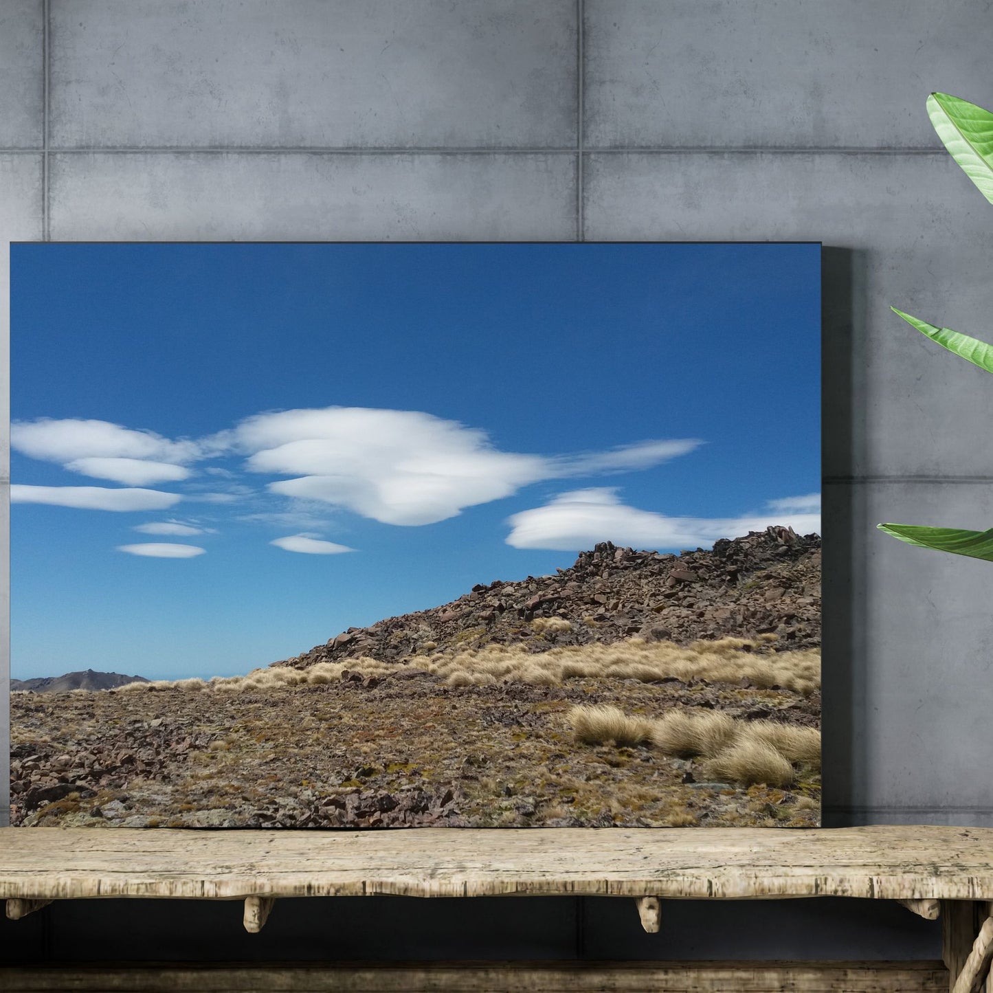 The Very Top of Mount Pizgah Photo on Canvas