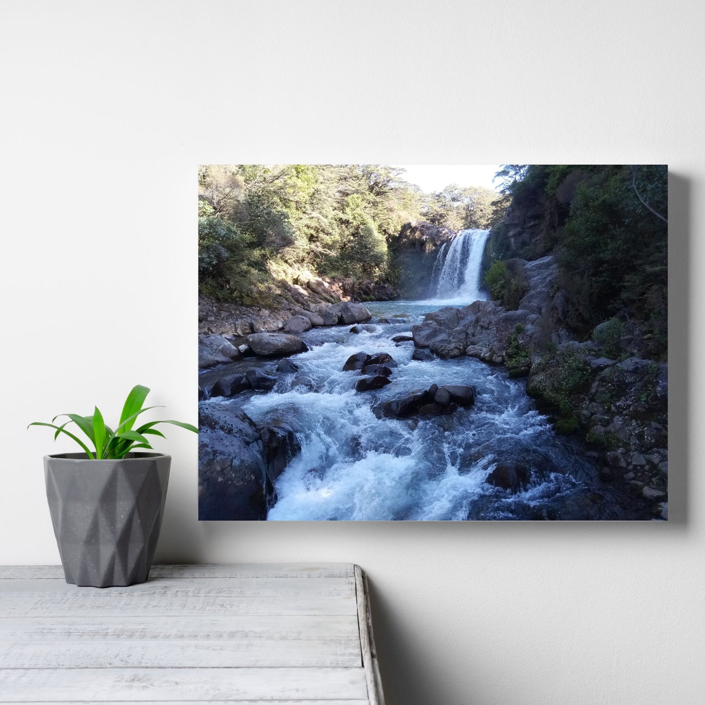 Tawhai Falls Gollums Pool Photo on Canvas.